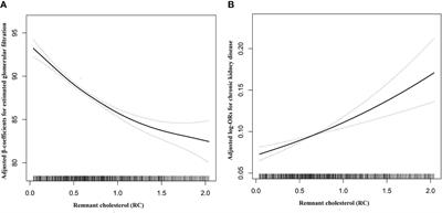 Association between remnant cholesterol and chronic kidney disease in Chinese hypertensive patients